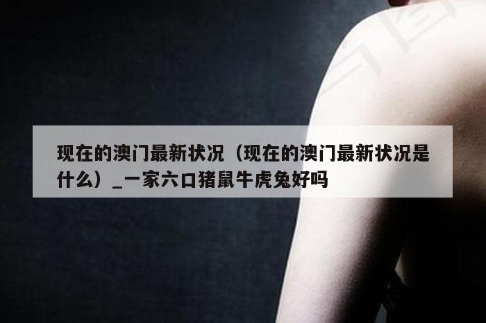 现在的澳门最新状况（现在的澳门最新状况是什么）_一家六口猪鼠牛虎兔好吗