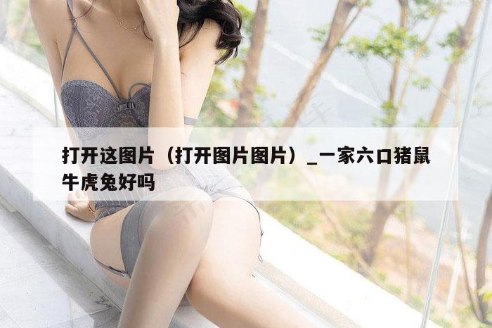 打开这图片（打开图片图片）_一家六口猪鼠牛虎兔好吗