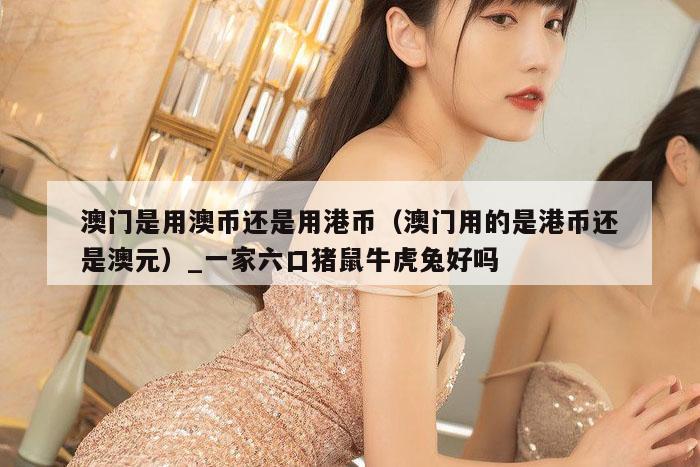 澳门是用澳币还是用港币（澳门用的是港币还是澳元）_一家六口猪鼠牛虎兔好吗