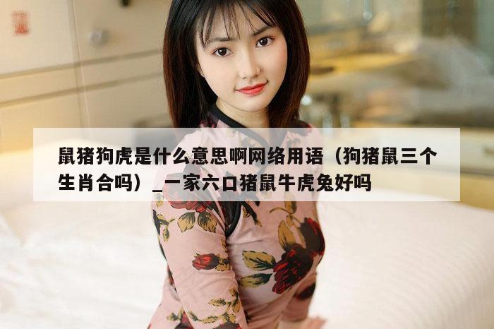 鼠猪狗虎是什么意思啊网络用语（狗猪鼠三个生肖合吗）_一家六口猪鼠牛虎兔好吗