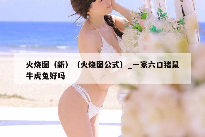 火烧图（新）（火烧图公式）_一家六口猪鼠牛虎兔好吗